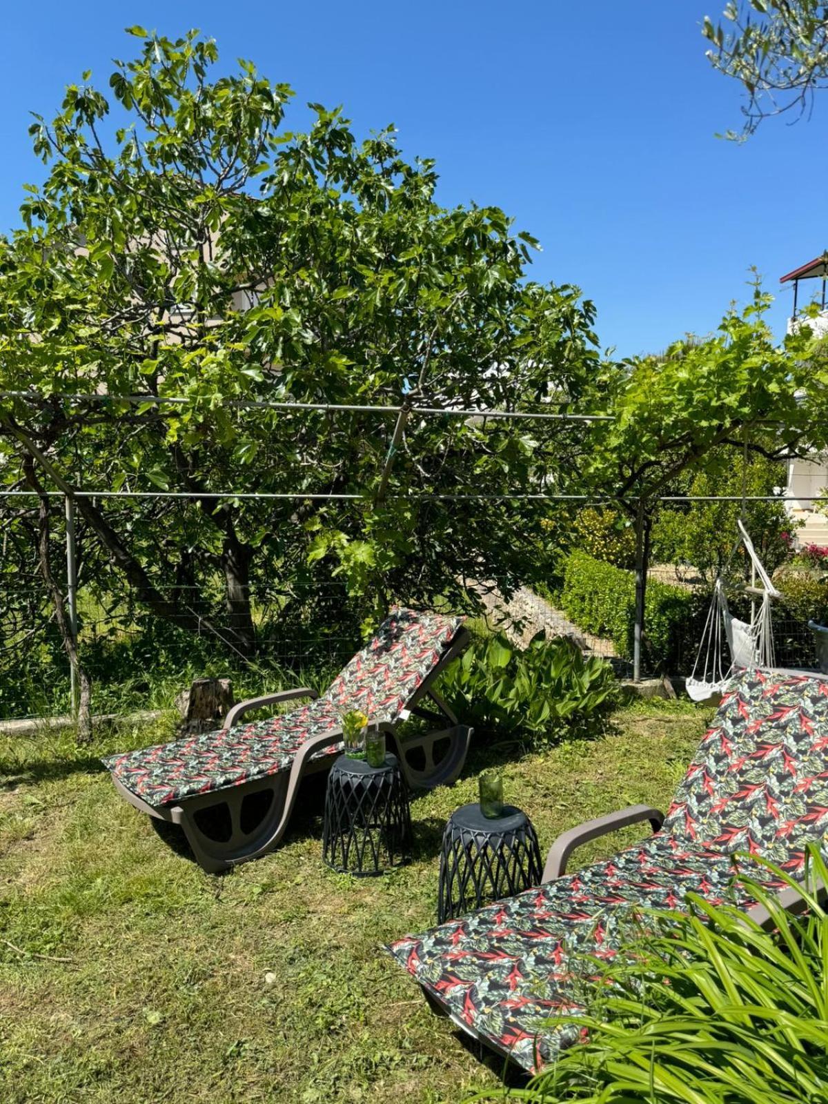 Palma Guesthouse New Translation Exteriér fotografie