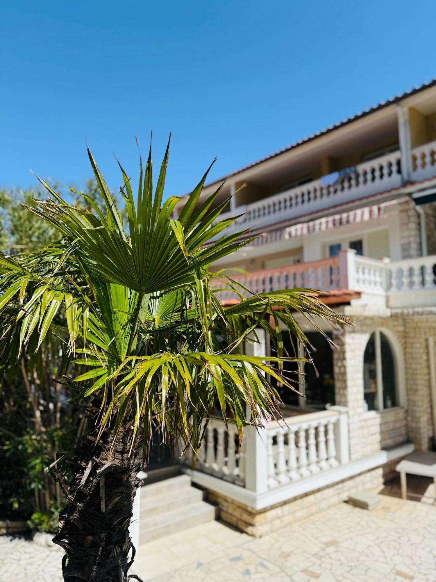 Palma Guesthouse New Translation Exteriér fotografie